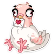 Стикер Голуба