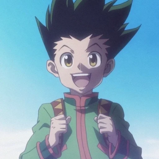 Стикер Hunter Hunter