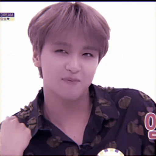 Стикер Haechan