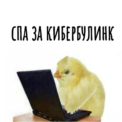 Стикер Хамим Красиво