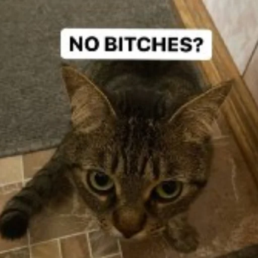 Стикер holy shit