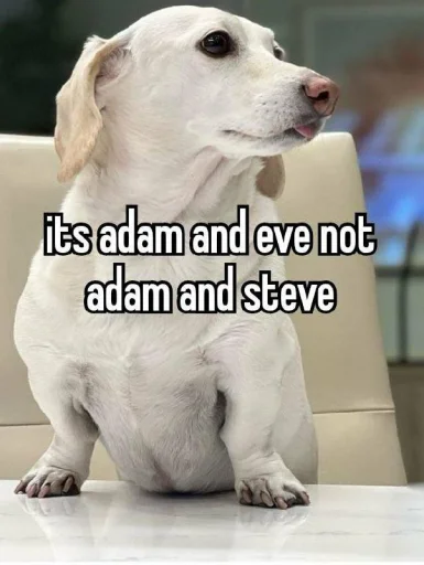 Стикер homophobic dog