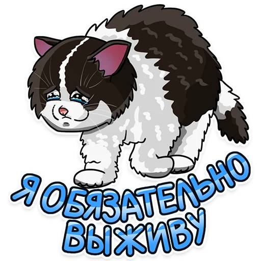 Стикер Рабочие котики