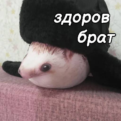 Стикер ХРЕН