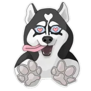 Набор стикеров