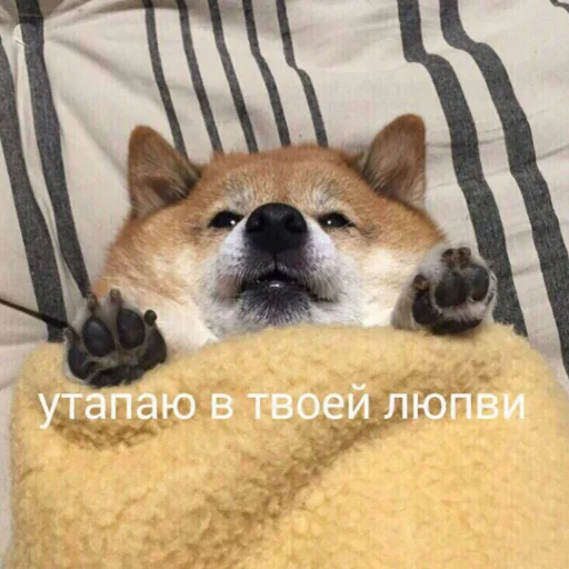 Стикер милые милости и депрессия