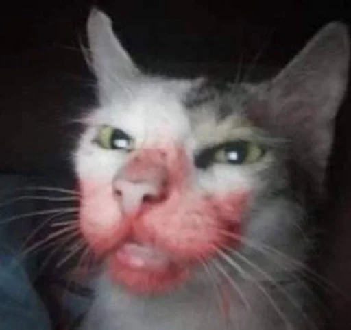 Стикер бум бум