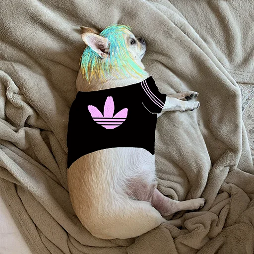 Стикер Джеки Чан