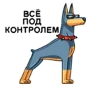 Набор стикеров