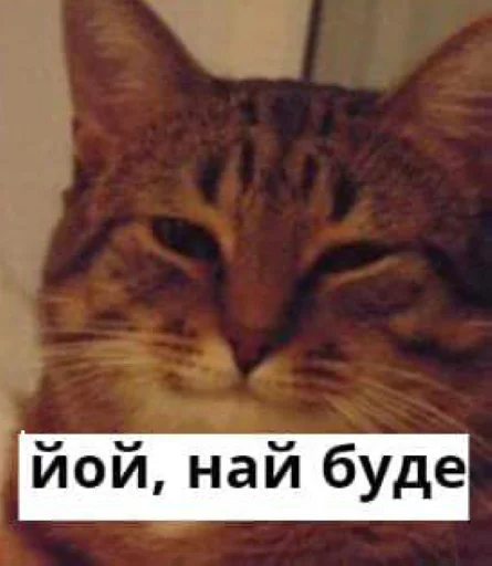 Стикер йой, най буде