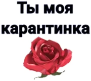 Стикер КарантинКа