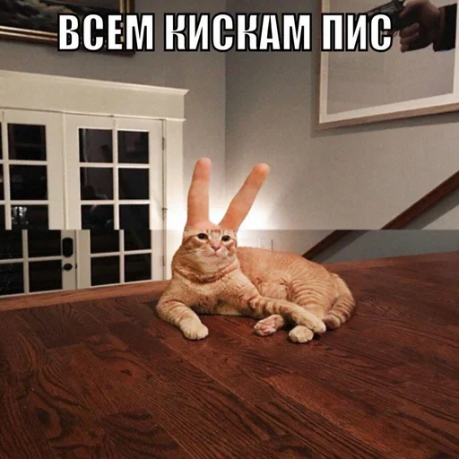 Стикер Дижитал