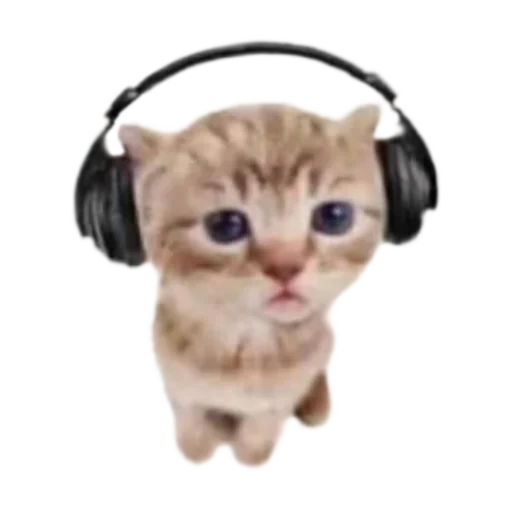 Стикер стикеркэт♡