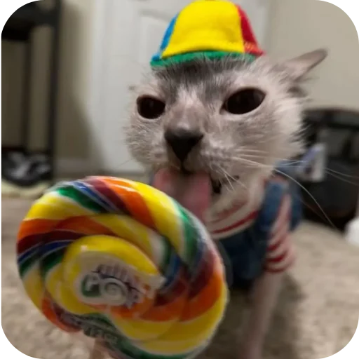 Стикер киски и собачки