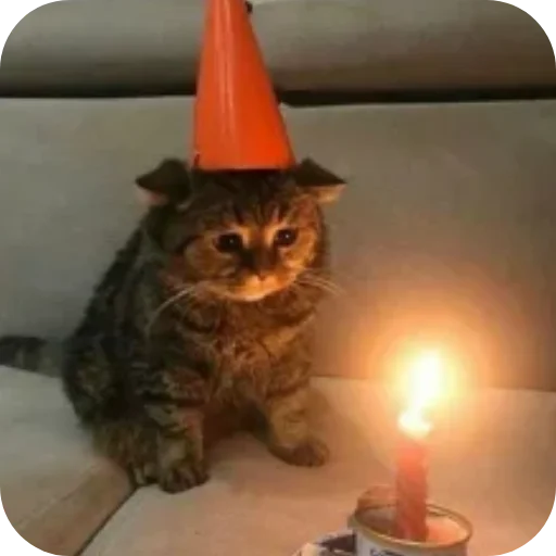 Стикер Котики