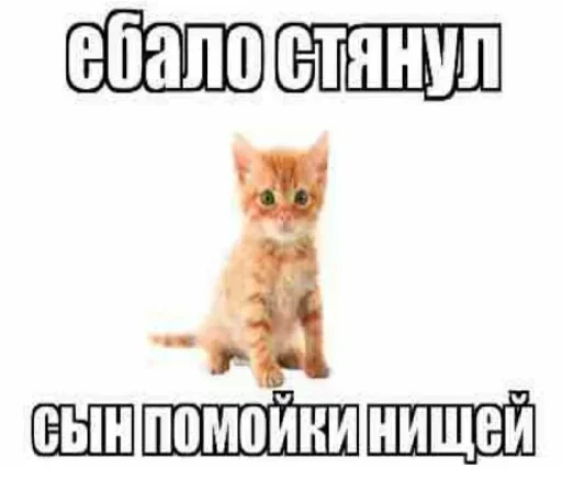 Набор стикеров