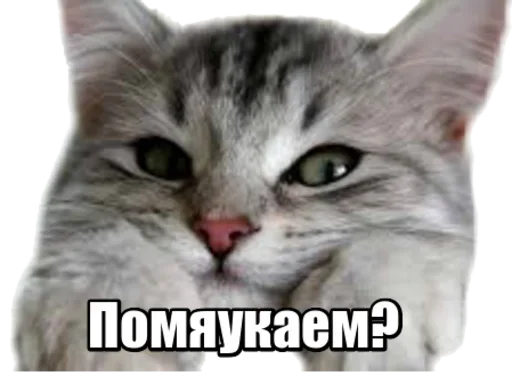 Набор стикеров