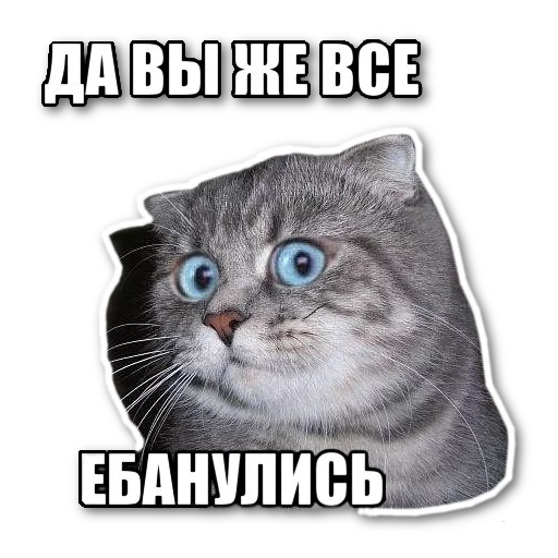 Стикер котэпак