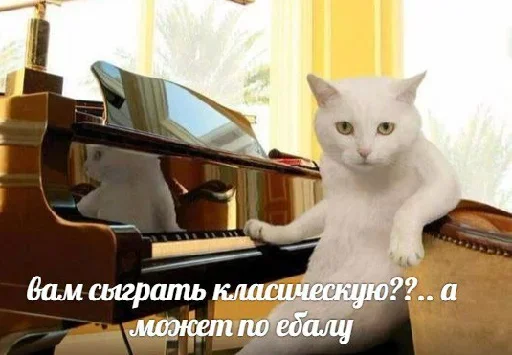 Стикер Котейчество