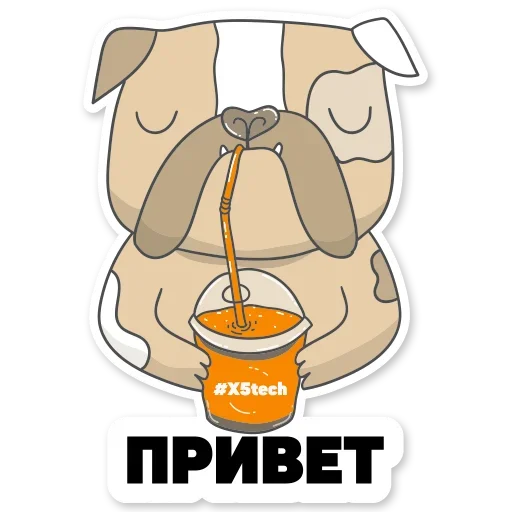 Стикер Котик Айтишник