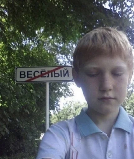 Стикер котики