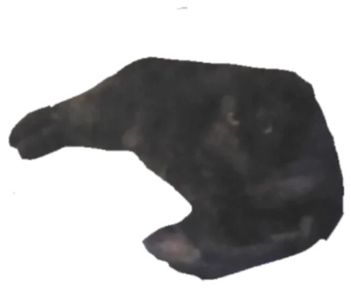 Стикер Kott_ssbornik