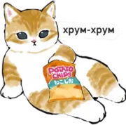 Стикер котик