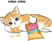 Набор стикеров