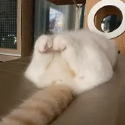 Стикер kotyaspack