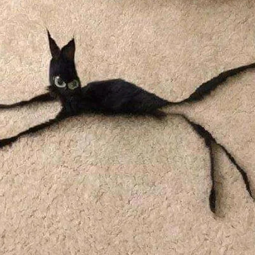 Стикер mini cats