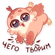 Набор стикеров