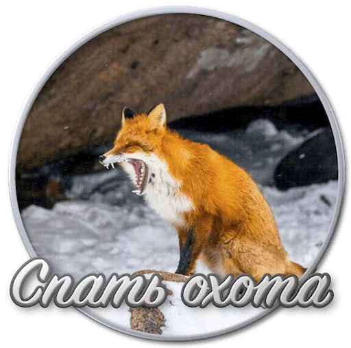 Набор стикеров