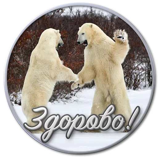 Набор стикеров