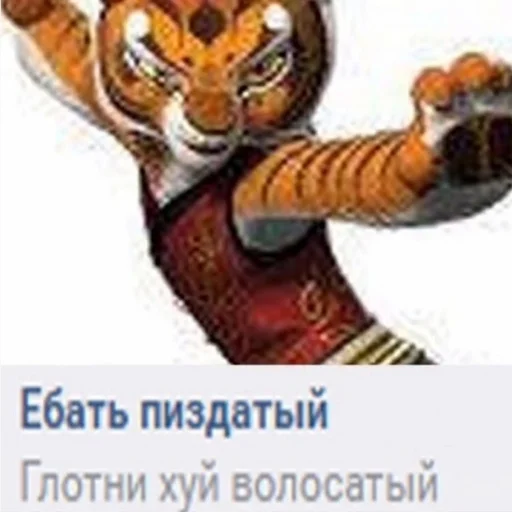 Стикер kung-fu