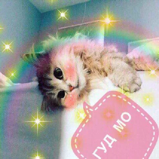 Стикер Кусь part 2