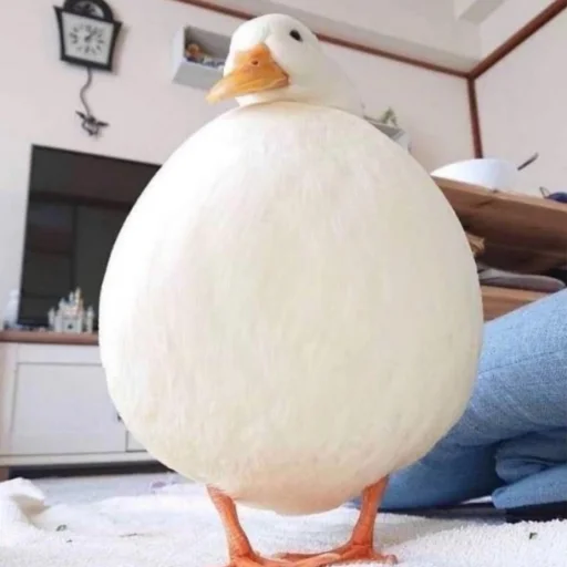 Стикер Le Ducc