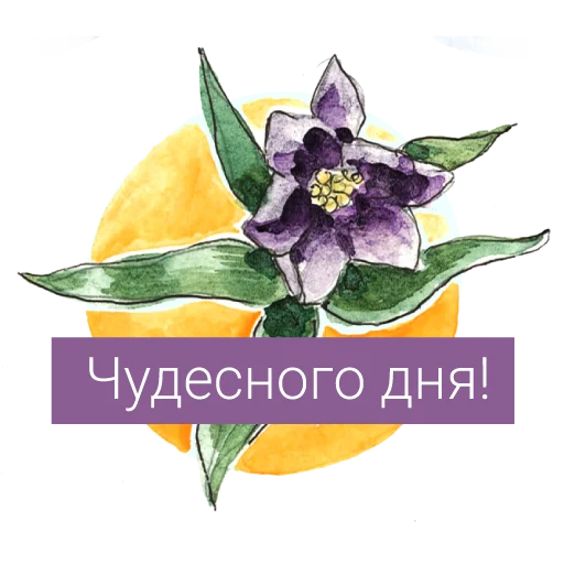 Набор стикеров
