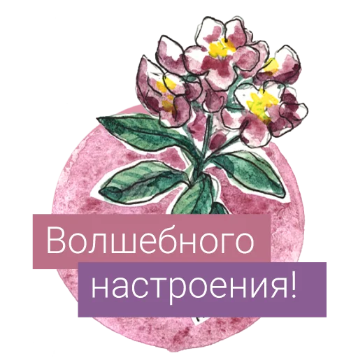 Набор стикеров