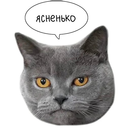 Стикер Laksheri_realkotaksheri