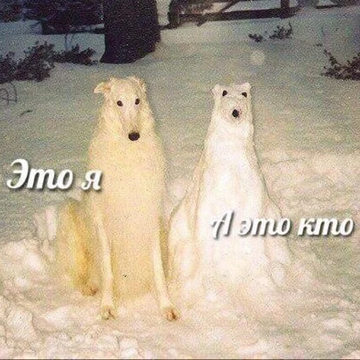 Стикер longnose style