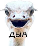 Стикер bird memes by loromoin