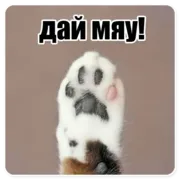 Набор стикеров