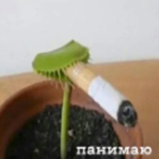 Стикер Стикеры WhatsApp