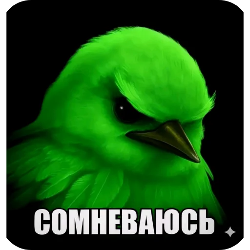 Набор стикеров