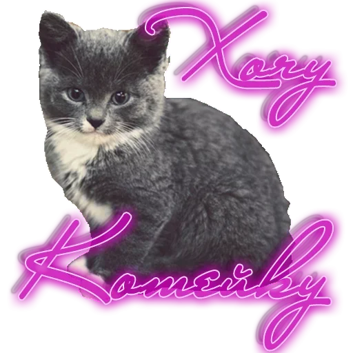 Стикер Хочу