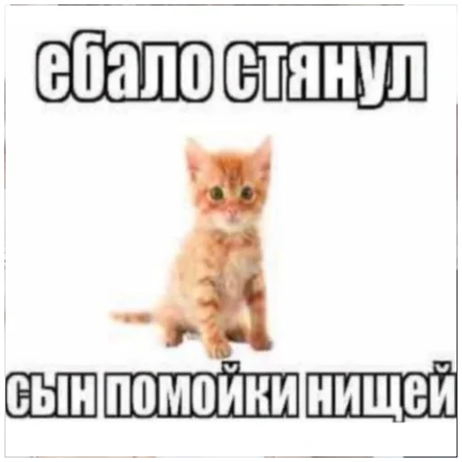 Набор стикеров