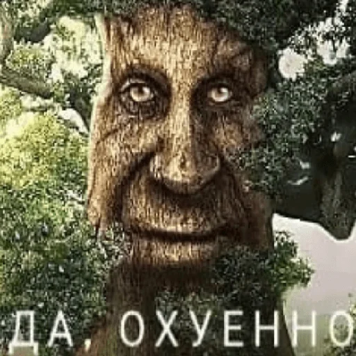 Стикер Мудрое мистическое дерево