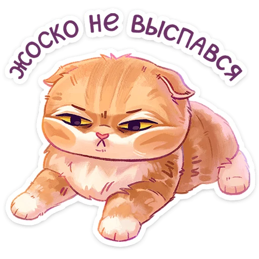 Набор стикеров