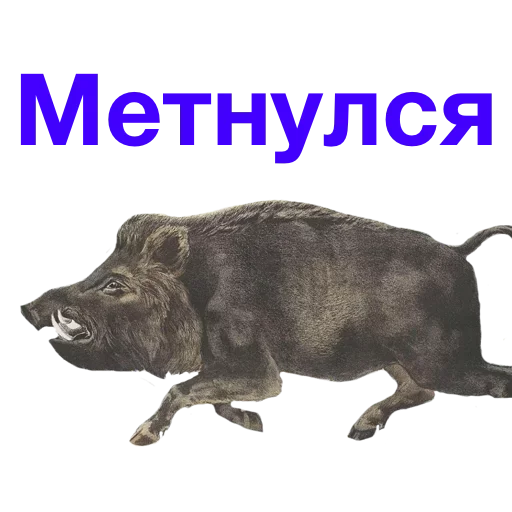 Стикер Метнулся
