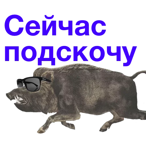 Набор стикеров